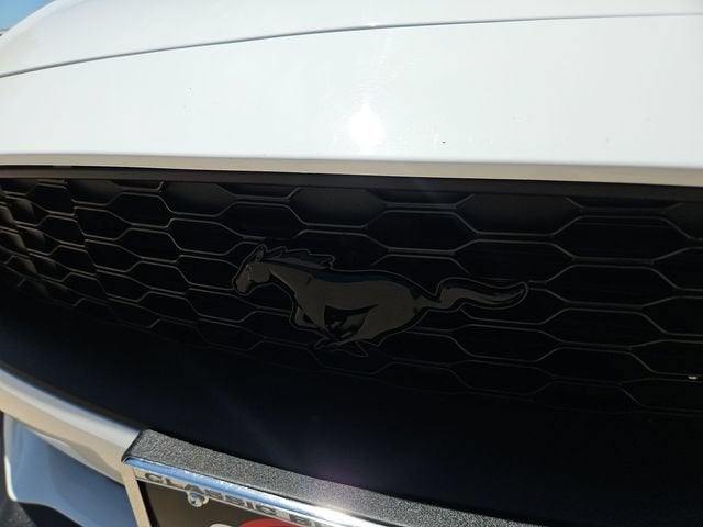 2023 Ford Mustang EcoBoost Premium Fastback