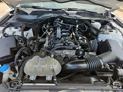 2023 Ford Mustang EcoBoost