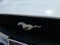 2023 Ford Mustang EcoBoost
