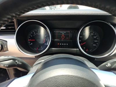 2023 Ford Mustang EcoBoost