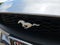 2023 Ford Mustang EcoBoost