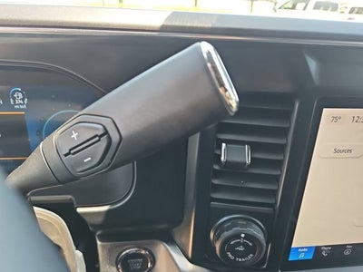 2025 Ford F-250 Platinum