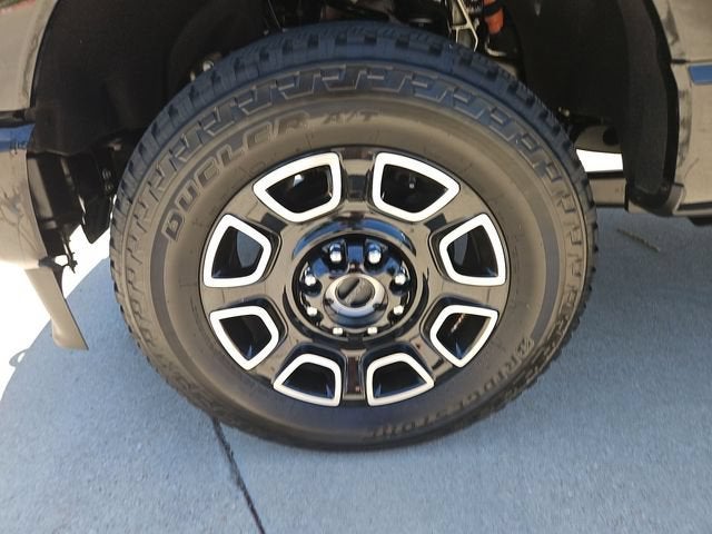 2025 Ford F-250 Platinum